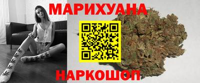индика Бийск