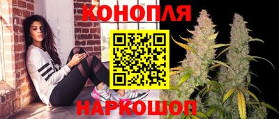 индика Бийск