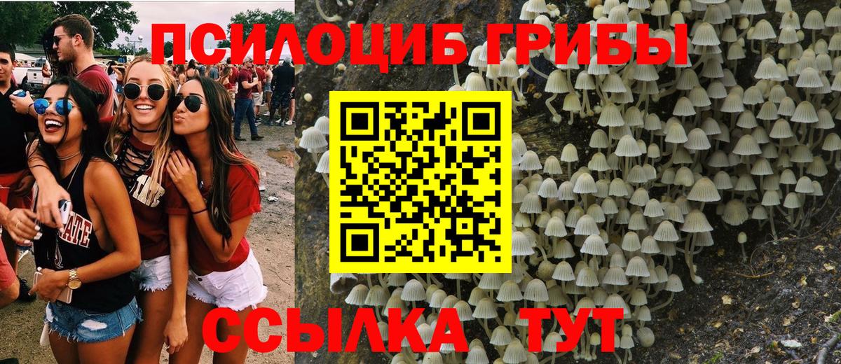 Калач-на-Дону  Галлюциногенные грибы ЛСД  что такое наркотик  Вход с VPN 